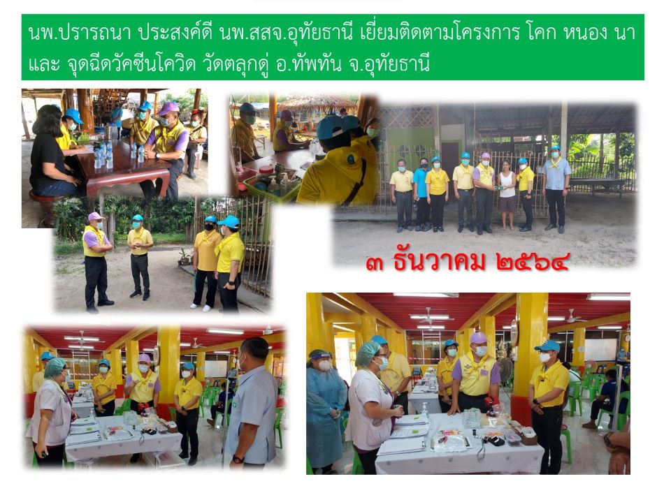 link News
