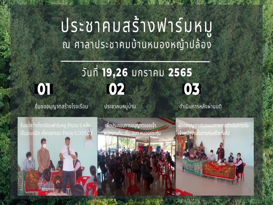 link News